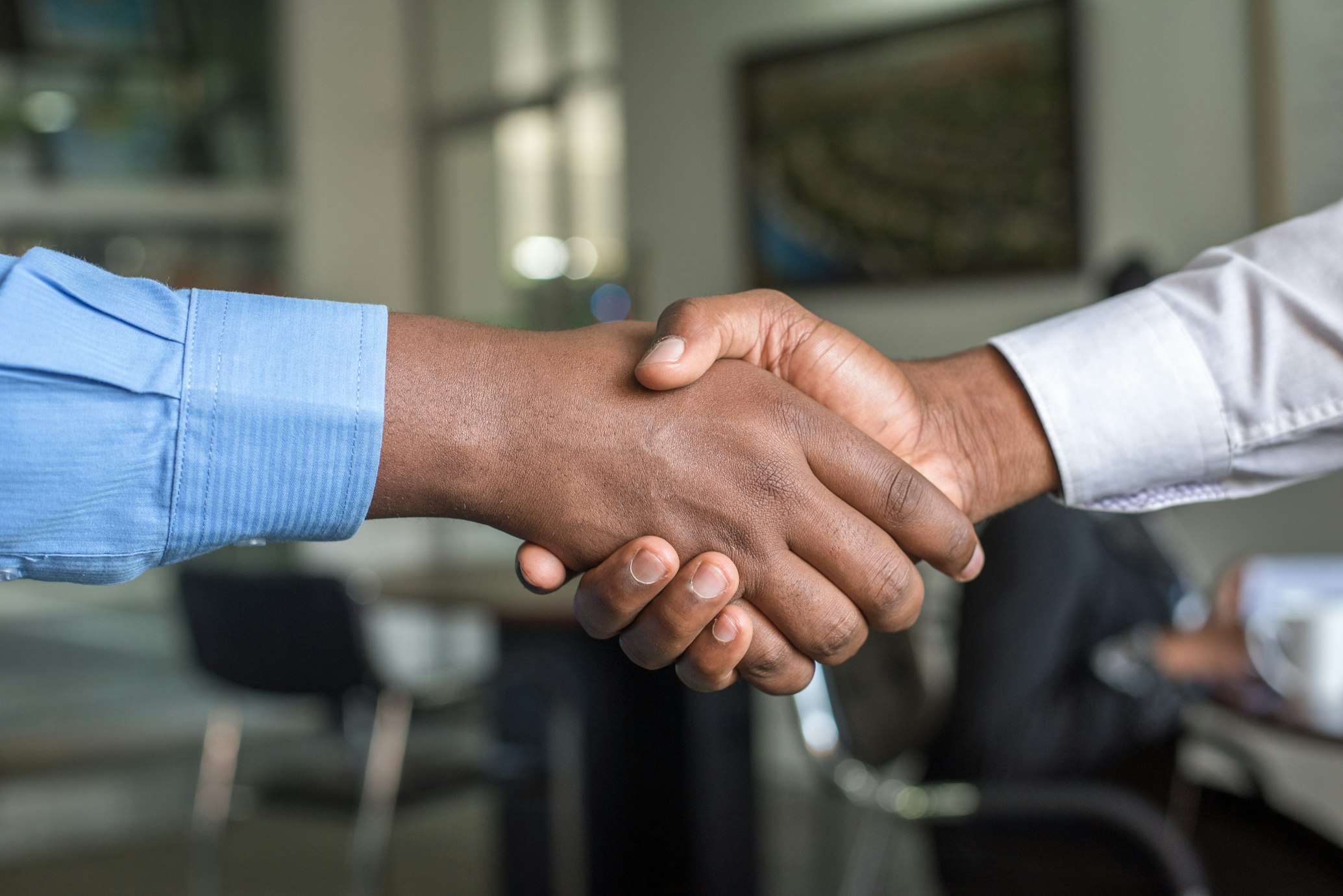 Professional automotive consultation